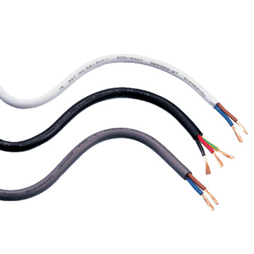  227 IEC 53 (RVV) Power Cord (227 IEC 53 (РВВ) Шнур питания)