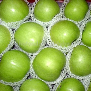  Green Apples