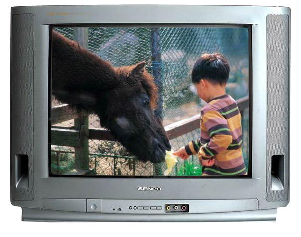  14" Color TV Set (14 "Color TV Set)