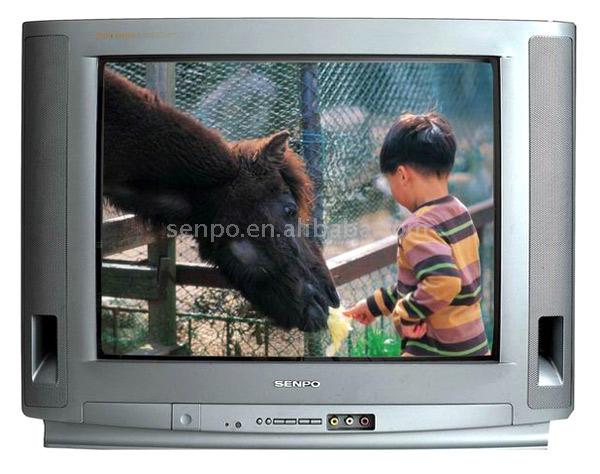  21" Color TV Set (21 "Color TV Set)