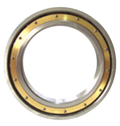  Angular Contact Ball Bearing (Angular Cont t Ball Bearing)