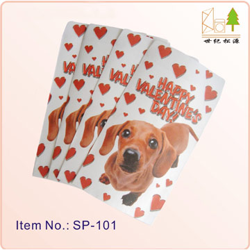  Color Paper Bag ( Color Paper Bag)