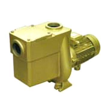 Metal Pump (Metal Pump)