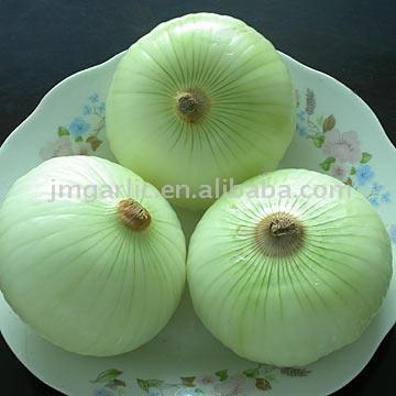  Yellow Onions (Oignons jaunes)