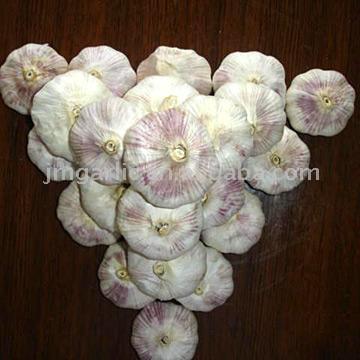  Garlic ( Garlic)