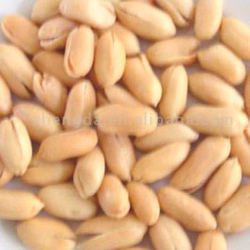 Geröstete und gesalzene Erdnüsse (Geröstete und gesalzene Erdnüsse)