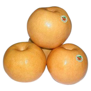  Singo Pear (Синго груша)