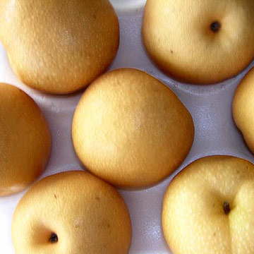  Hongsui Pear (Hongsui Poire)