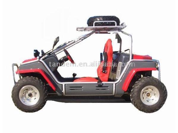  (New) 650cc 4 x 4 Water Cooled Go Kart ( (New) 650cc 4 x 4 Water Cooled Go Kart)