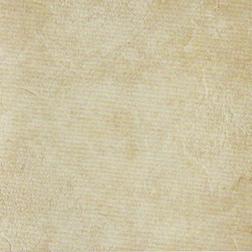  Rustic Ceramic Tile (Сельский керамической плитки)