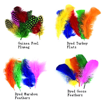  Feather ( Feather)