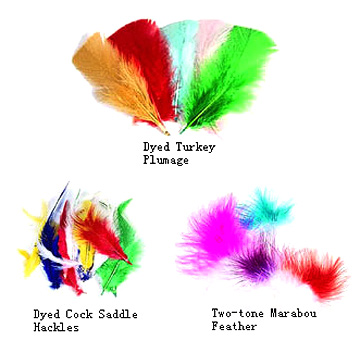  Feather ( Feather)
