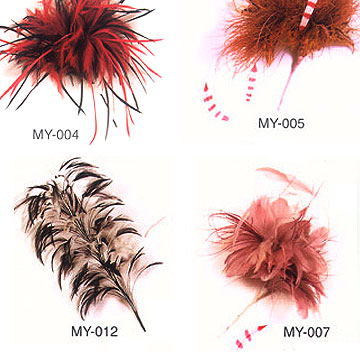 Jewelry Feather ( Jewelry Feather)