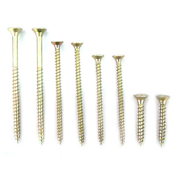  Stainless Steel Screws ( Stainless Steel Screws)