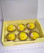 Easter Eggs (New Design) (Easter Eggs (New Design))