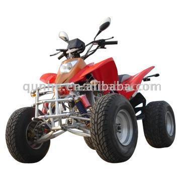  110cc ATV ( 110cc ATV)