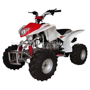  ATV 250-2D (ATV 250 D)