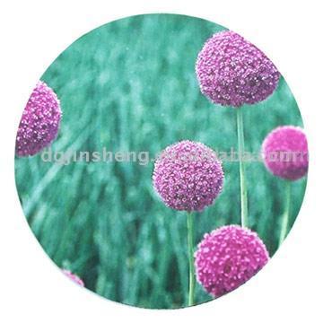  Mouse Pad ( Mouse Pad)