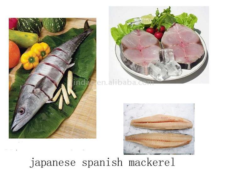  Spanish Mackerel (Испанской макрели)