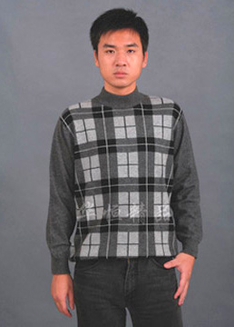 Cashmere Pullover (Cashmere Pullover)