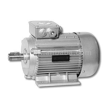  PM AC Synchronous Motor