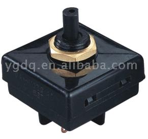 Rotary Switch