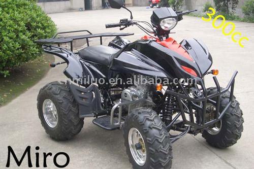  2007 Hot ATV, 300cc ATV (EEC Approved) (2007 Hot ATV, 300cc ATV (EWG Approved))