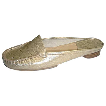  Ladies` Slipper (Женские башмачок)