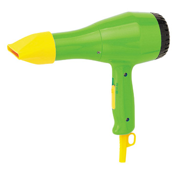 Professional Hair Dryer (Professional Hair Dryer)