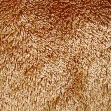  Fabric ( Fabric)