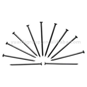 Common Nail ( Common Nail)