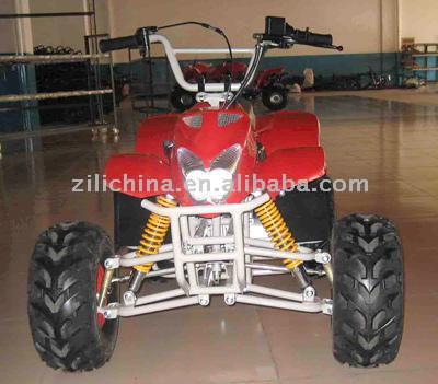  110cc ATV ( 110cc ATV)