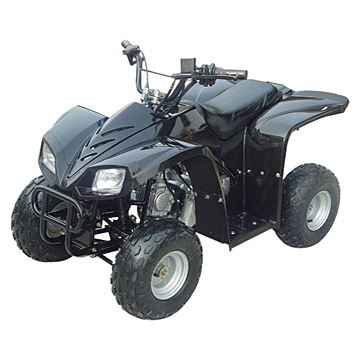  110cc ATV ( 110cc ATV)