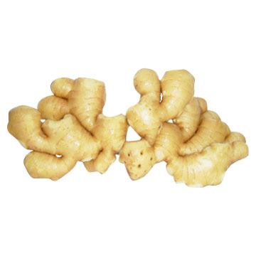  Fresh Ginger (Свежий имбирь)