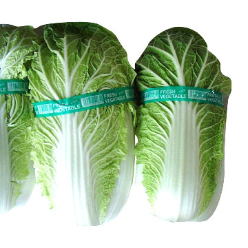  Chinese Cabbage (Chou chinois)