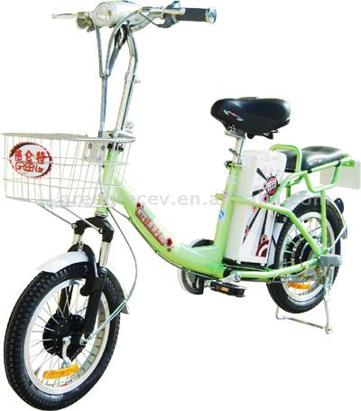  Electric Bicycle (Elektro-Fahrrad)