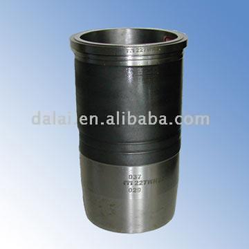  Cylinder ( Cylinder)