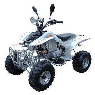  250cc Raptor Style ATV With EEC & EPA ( 250cc Raptor Style ATV With EEC & EPA)