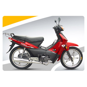  Cub (YG100-5)