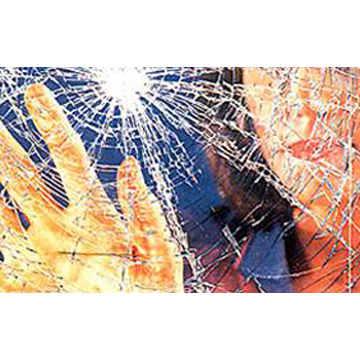  PVB Interlayer