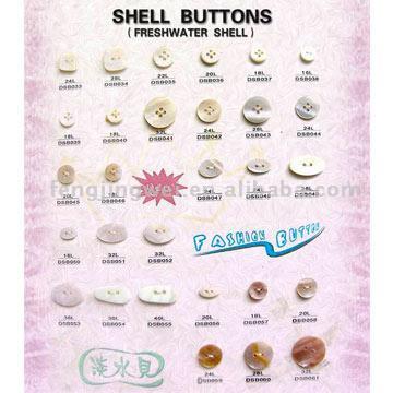  Shell Buttons (Freshwater Shell Buttons) ( Shell Buttons (Freshwater Shell Buttons))
