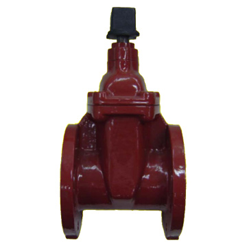  Gate Valve (Gate Valve)