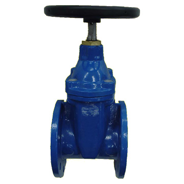  Gate Valve (Gate Valve)