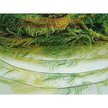  Nylon Feather Yarn ( Nylon Feather Yarn)