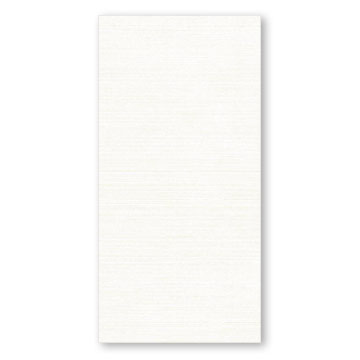  Ceramic Wall Tile (Glaze)