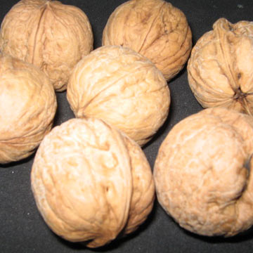  Walnut (Noyer)