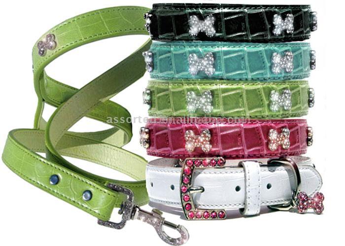 Hundehalsband und Blei (Hundehalsband und Blei)