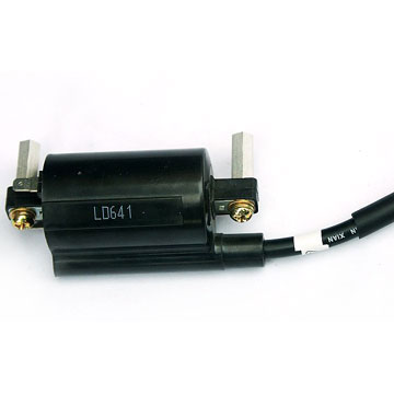  Inductance Ignition Coil (Inductance de la bobine d`allumage)