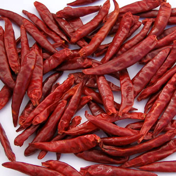 Hebei Kleine Chili (Chaotian Chili) (Hebei Kleine Chili (Chaotian Chili))