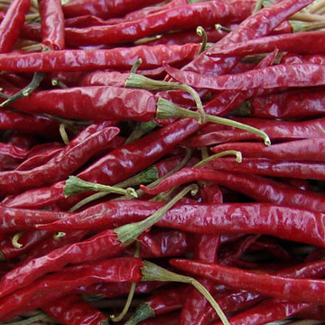  Yunnan Chili ( Yunnan Chili)